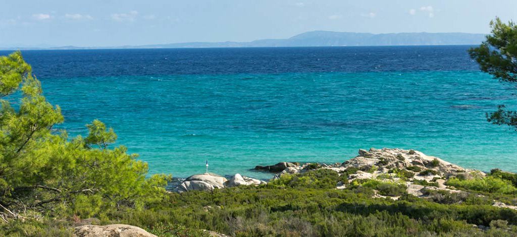 Hotels in Elia